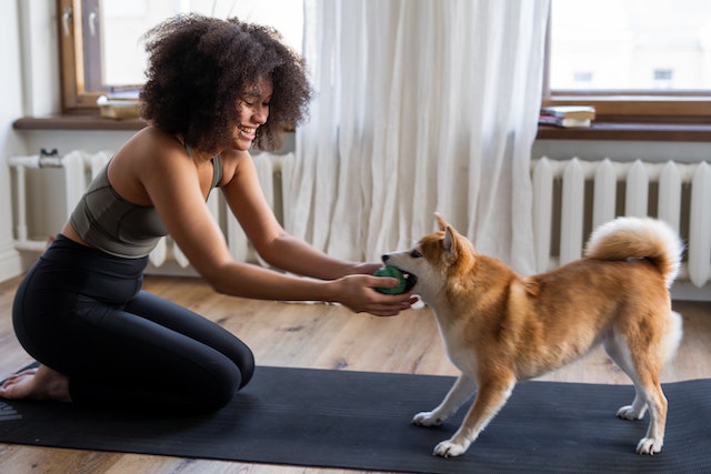 lady owner & dog with soft weight presented to the dog on yoga mat