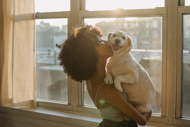 owner kissing the dog after their workout